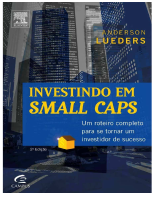 Investindo em Small Caps_Anderson Luendes.pdf